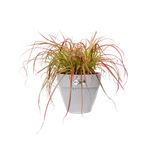 vibia campana 25cm living concrete